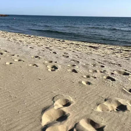 Coral * סבטי ולאס